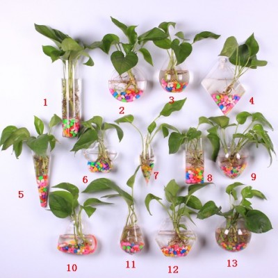 hanging wall clear terrarium ,glass flower pot hydroponic terrarium glass flower pots for plants